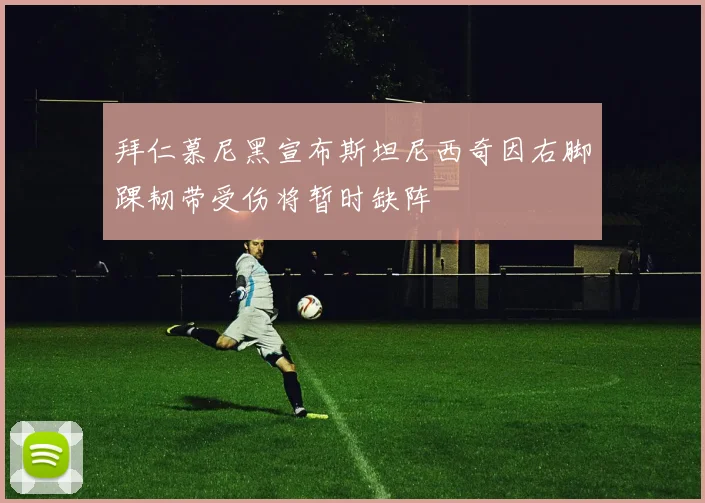 拜仁慕尼黑宣布斯坦尼西奇因右脚踝韧带受伤将暂时缺阵